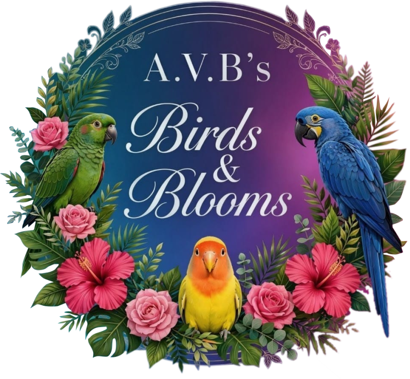 A.V.B's Birds & Blooms logo